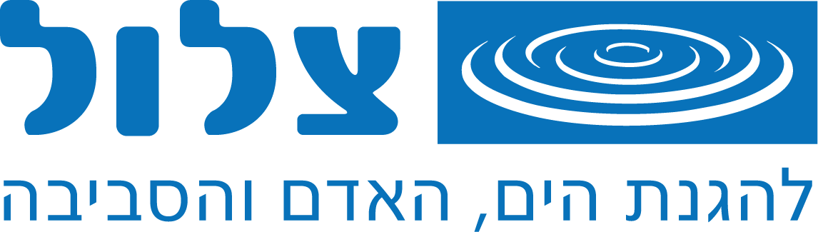 לוגו צלול