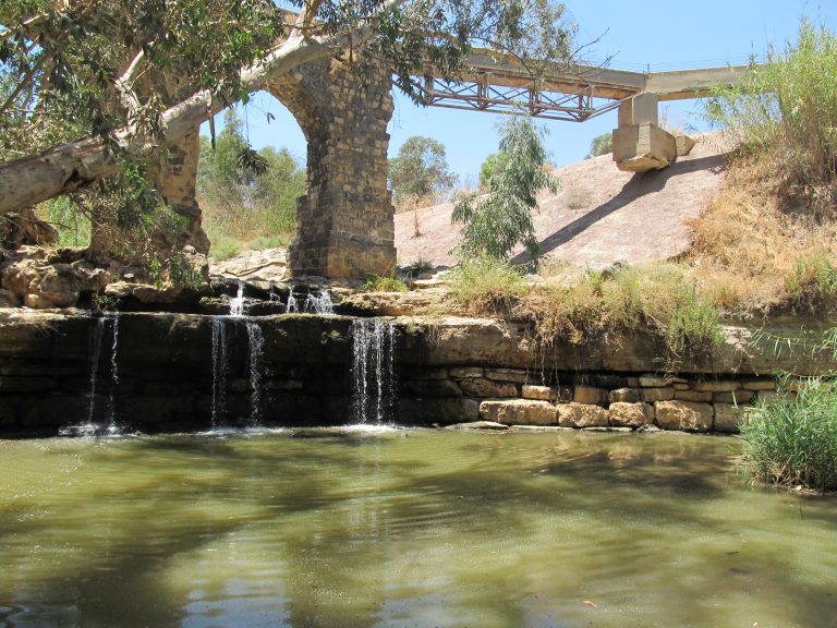 "צלול" למנהל רשות המים: סרב לצו הרשאה ל"תנובה תל יוסף"