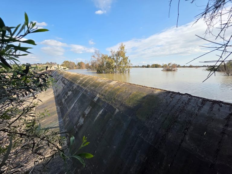 הרשויות מתקוטטות ומאגר שקמה עומד לגלוש לים