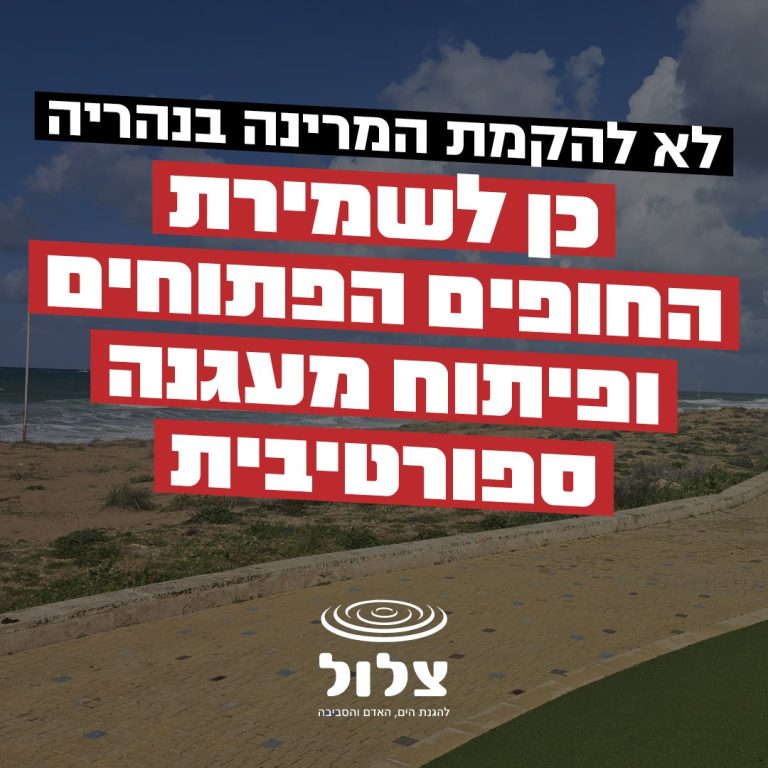 "צלול" וארגוני הסביבה נגד מרינה ל-500 יאכטות בנהרייה – תגזול שטחי חוף יקרים, תפגע בשמורה הימית ואחזקתה תיפול על הציבור