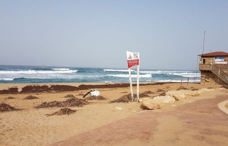 דוח פתיחת עונת הרחצה 2019: ביוב וקולחים בנחלים ובים