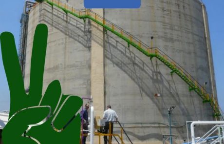 מבקר המדינה: מכרז האמוניה, כשלון ידוע מראש