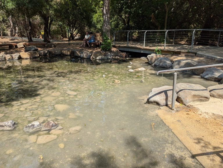 "צלול" למנהל רשות המים: "חייבים להציל את נחלי הצפון"