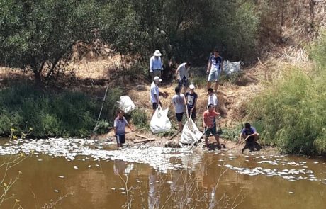 ארגוני הסביבה לכחלון: יש להגדיל את תקציב המשרד להגנת הסביבה