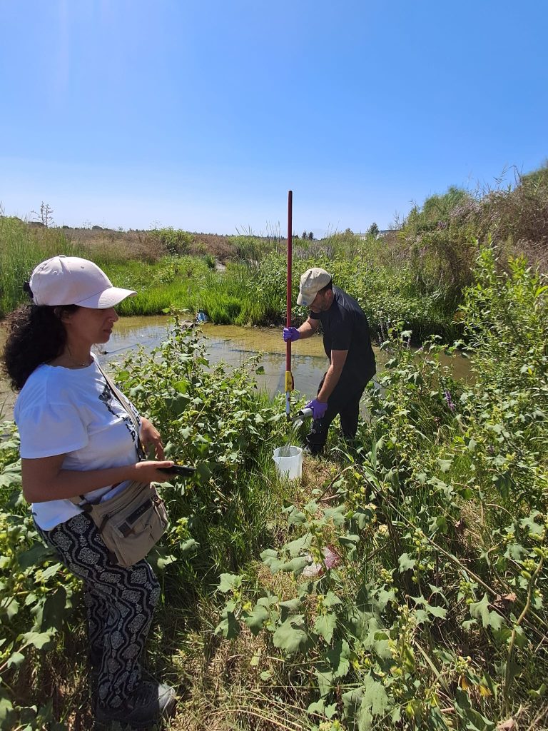 מה עשינו ב- 2025?  סיכום של שנה מאתגרת בים, חופים ונחלים