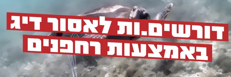 "צלול" לעיריית חיפה: דורשים לעצור דיג באמצעות רחפנים