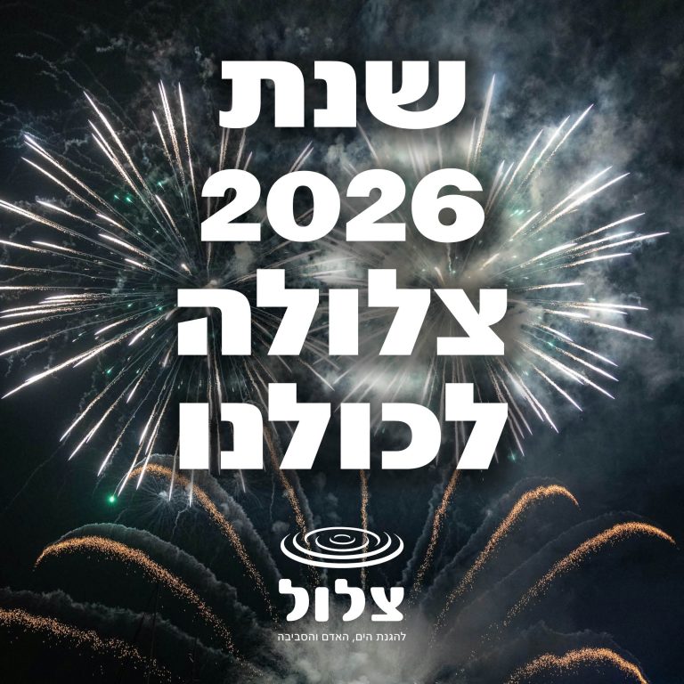 מה עשינו ב- 2025?  סיכום של שנה מאתגרת בים, חופים ונחלים