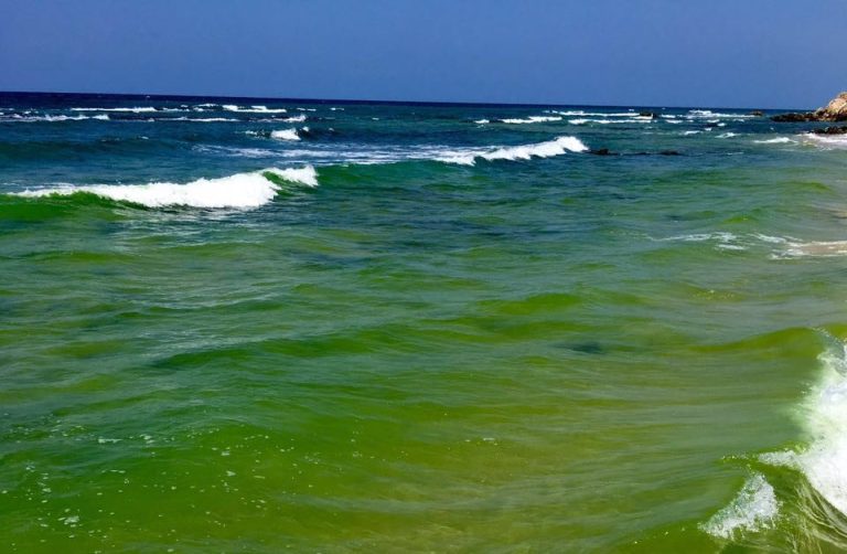 "צלול" בערעור לעליון על הסירוב לקבל תביעה יצוגית בשל "הכתם הצהוב" במי הים של הרצלייה