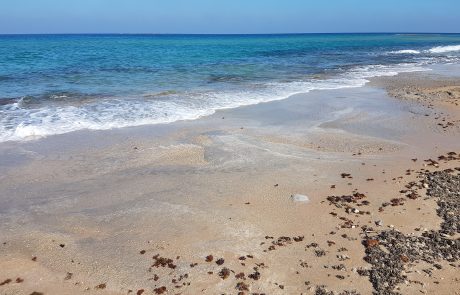 באדיבות המשרד להגנת הסביבה: בטון על טבלאות הגידוד בנהרייה