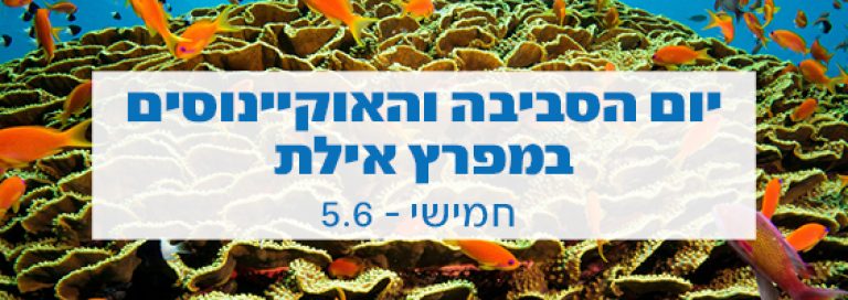 וובינר "מפרץ צלול" וניקיון חוף המגדלור באילת ביום האוקיינוסים