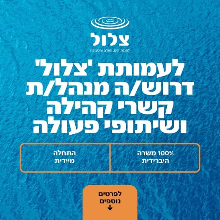 לעמותת 'צלול' דרוש/ה מנהל/ת קשרי קהילה ושיתופי פעולה