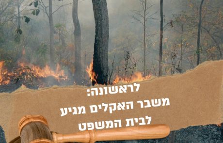 עמותת צלול ובני נוער בעתירה לביטול מסמך המדיניות למרחב הימי