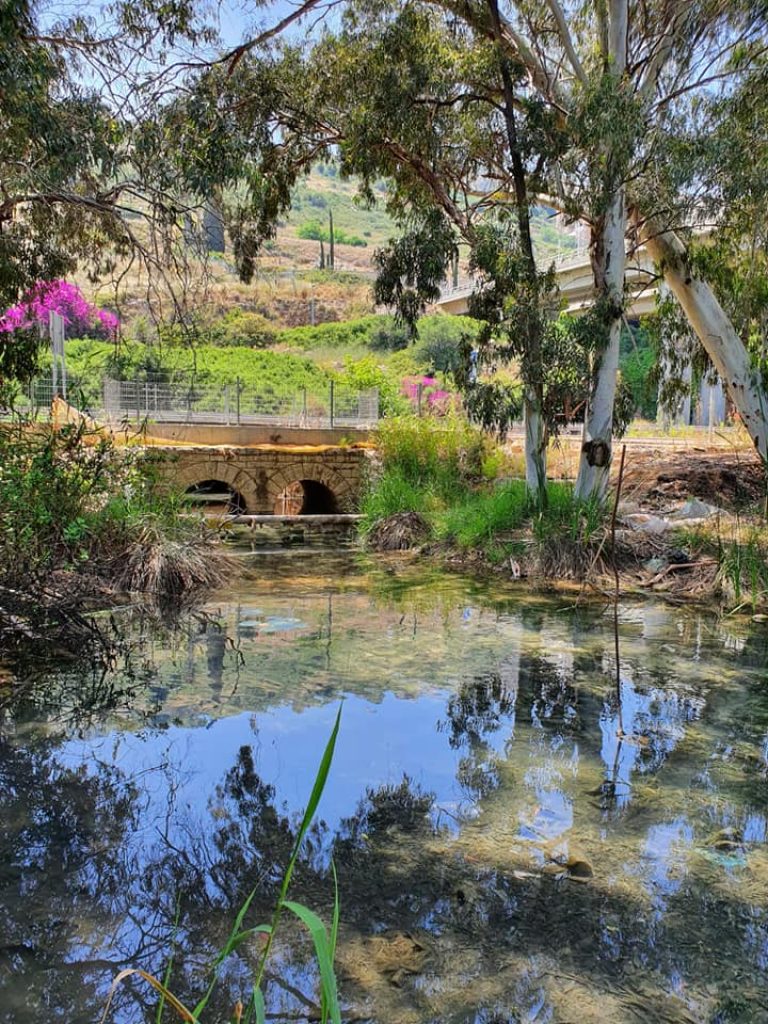 "צלול" והחברה להגנת הטבע מבקשות מהוועדה למתן היתרי הזרמה לים לדון מחדש בהיתר ההזרמה לנחל סעדיה