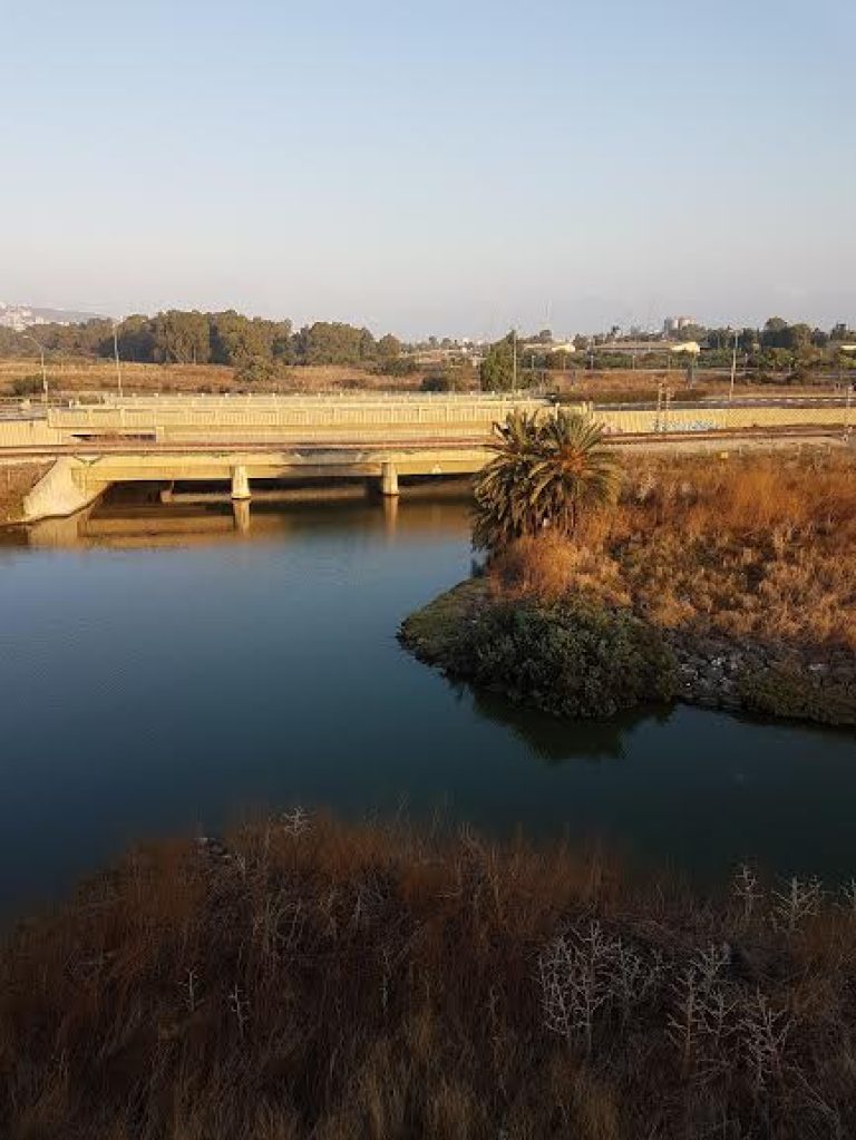 הצעה: בחינה של הפעלת משאבות מי קיץ בגשם ראשון לצורך צמצום זיהום נחלים וים