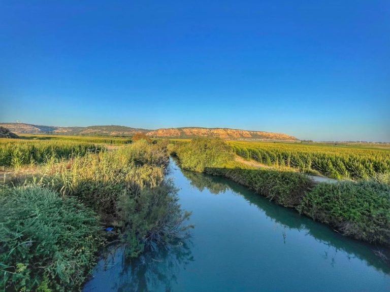 תוצאות דיגום איכות מים ומקורות זיהום – נחל עדה ותנינים