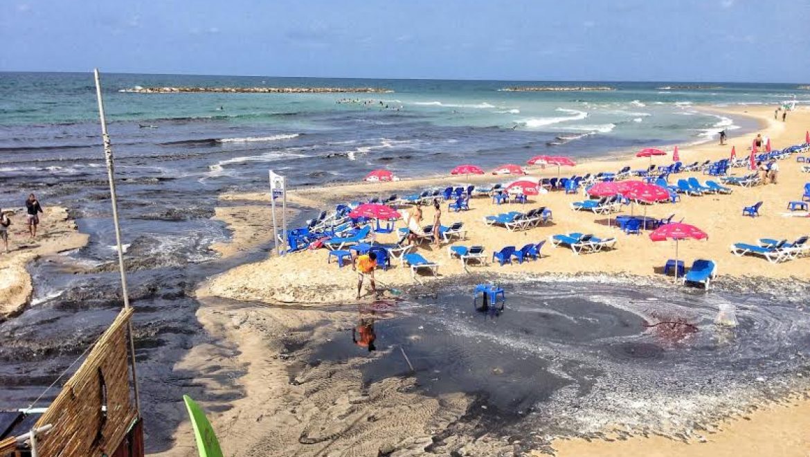 דו"חות תחילת עונת הרחצה 2008-2018