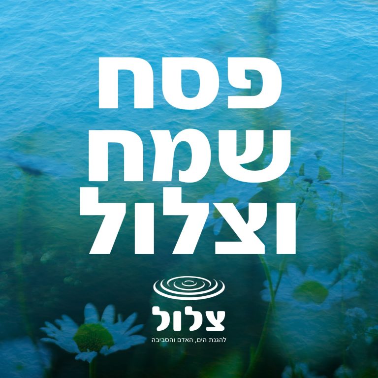 ניוזלטר אפריל 2026: חג פסח שמח וצלול