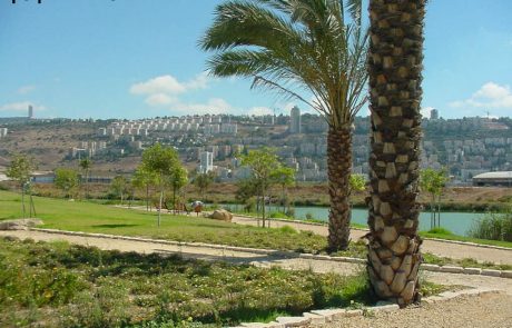 "צלול" למחוזית חיפה: אסור לוותר על תסקיר השפעה על הסביבה בקישון