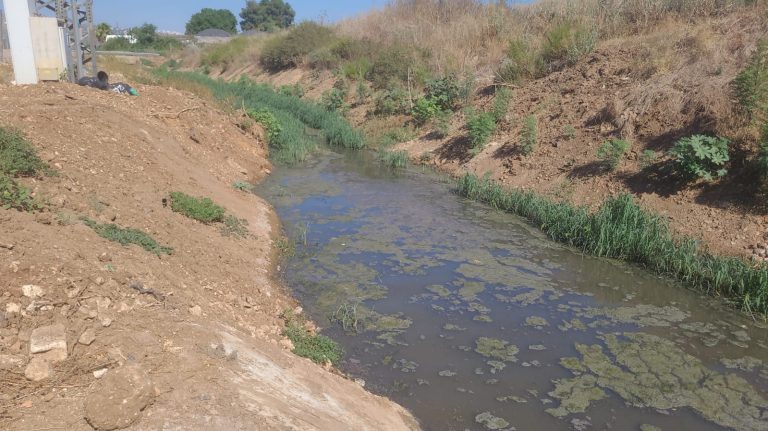 תגובת צלול לתקנות שפכי תעשייה: יש להכניס את נושא הטיפול במיקרו מזהמים לתקנות הטיפול